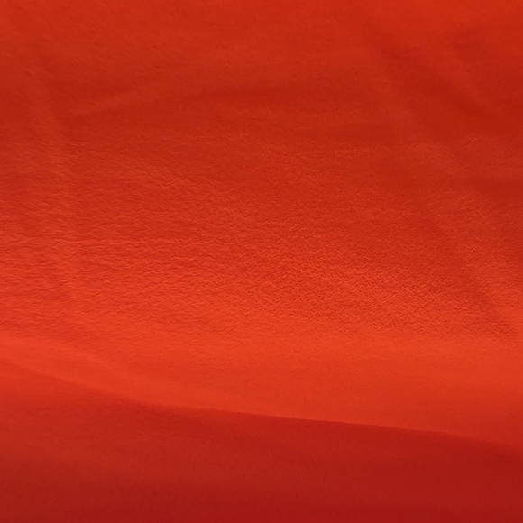 BCBG Sheer Button Down Shirt Size Medium - Picture 4 of 4